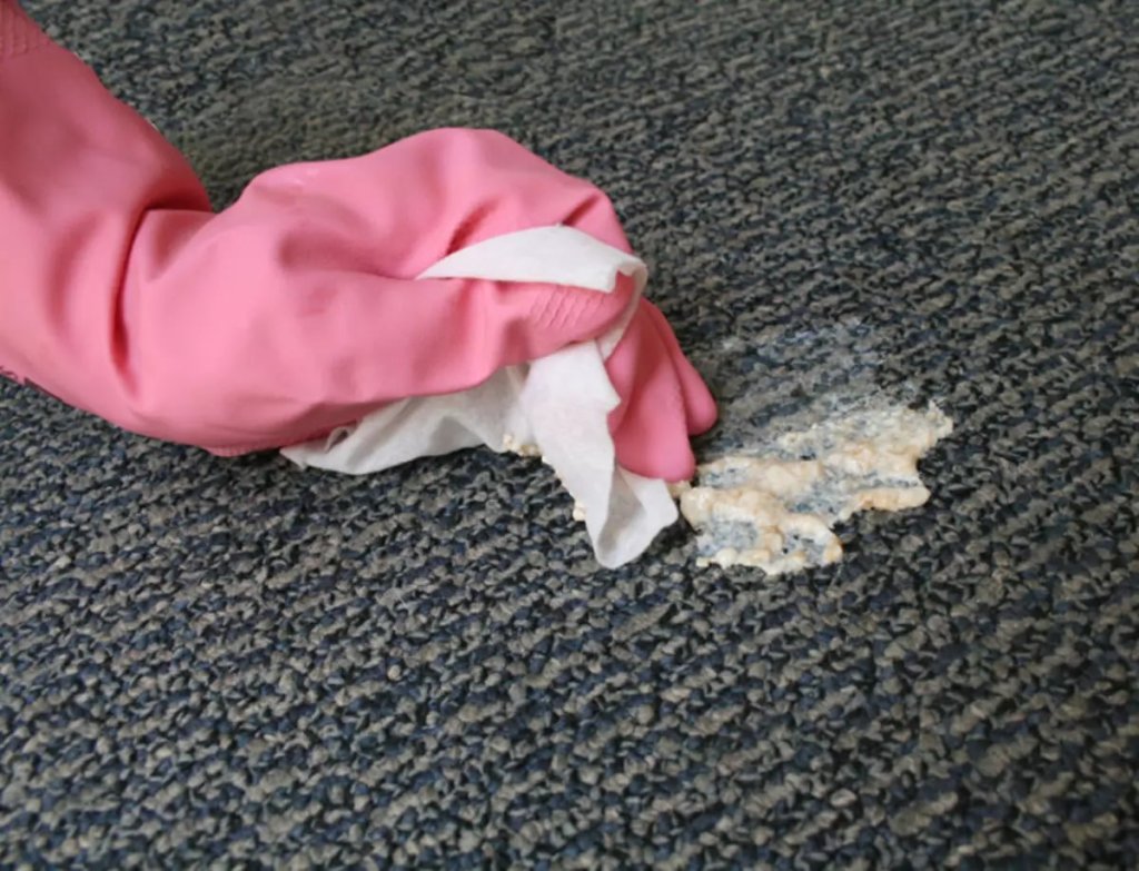 clean vomit from carpet
