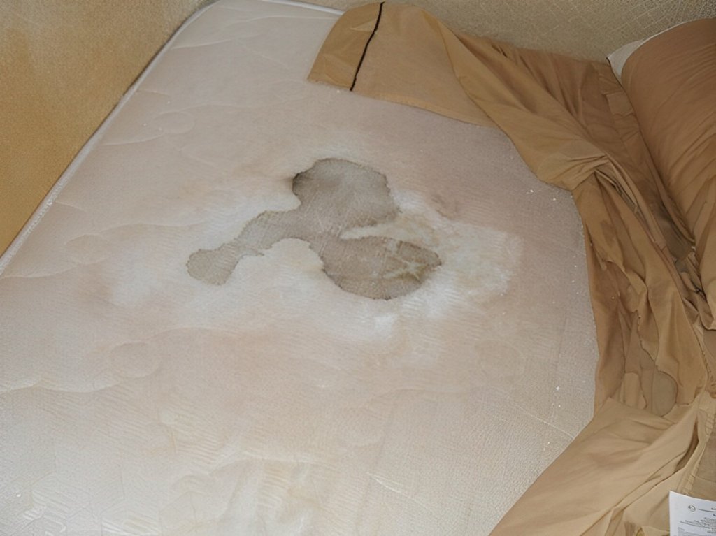 clean vomit from mattress