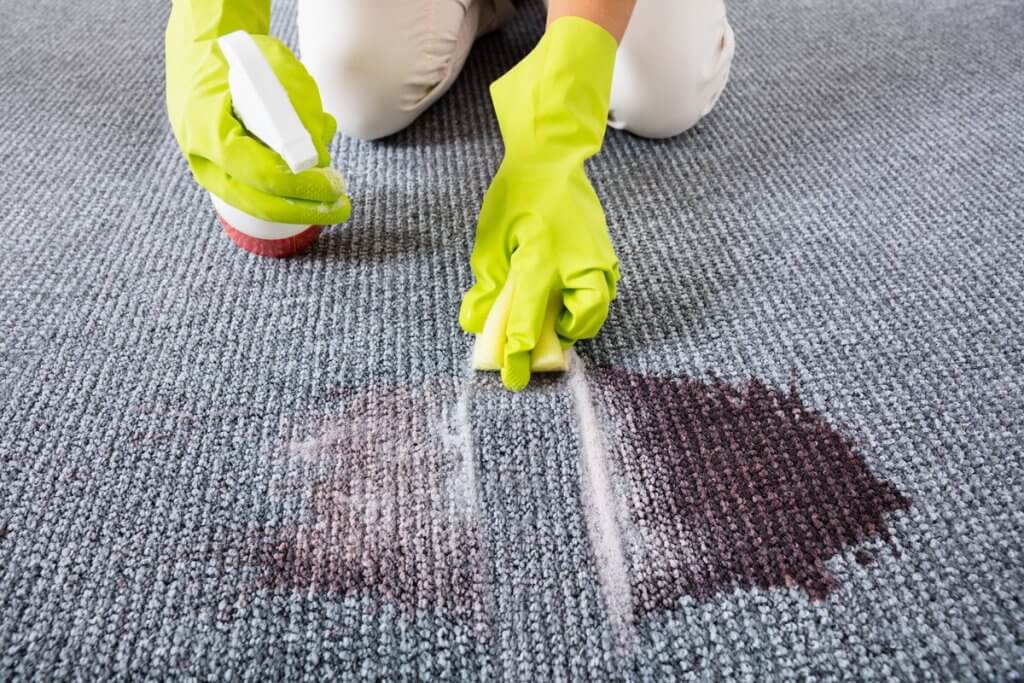 remove blood from carpet