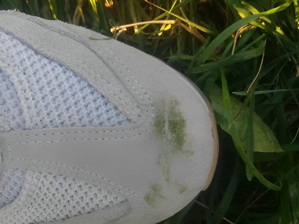 remove grass from shoes